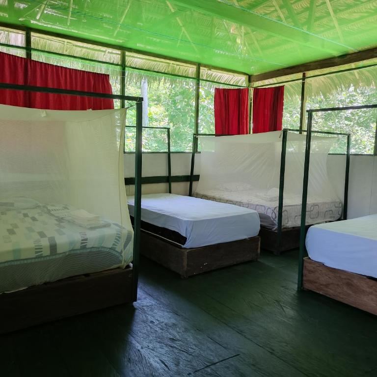 Allpayacu Lodge- Accomodation, Food & Jungle Tour Included - Bungalow Familiar - 4
