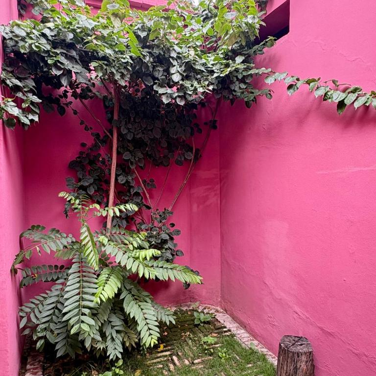 Ocho - Apartamento familiar de 1 dormitorio - 2
