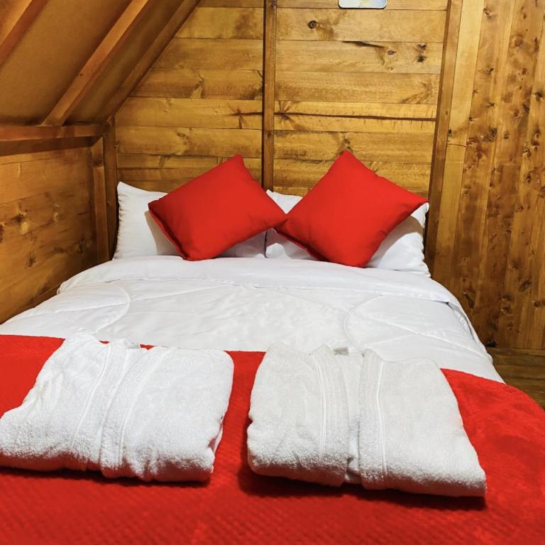 Glamping Miramelindo - One-Bedroom Cottage - 5
