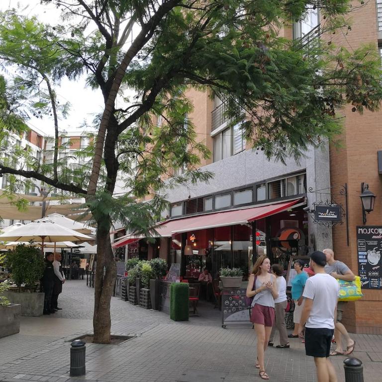 Santiago Centro Bellas Artes Lastarria - One-Bedroom Apartment with Terrace - 30