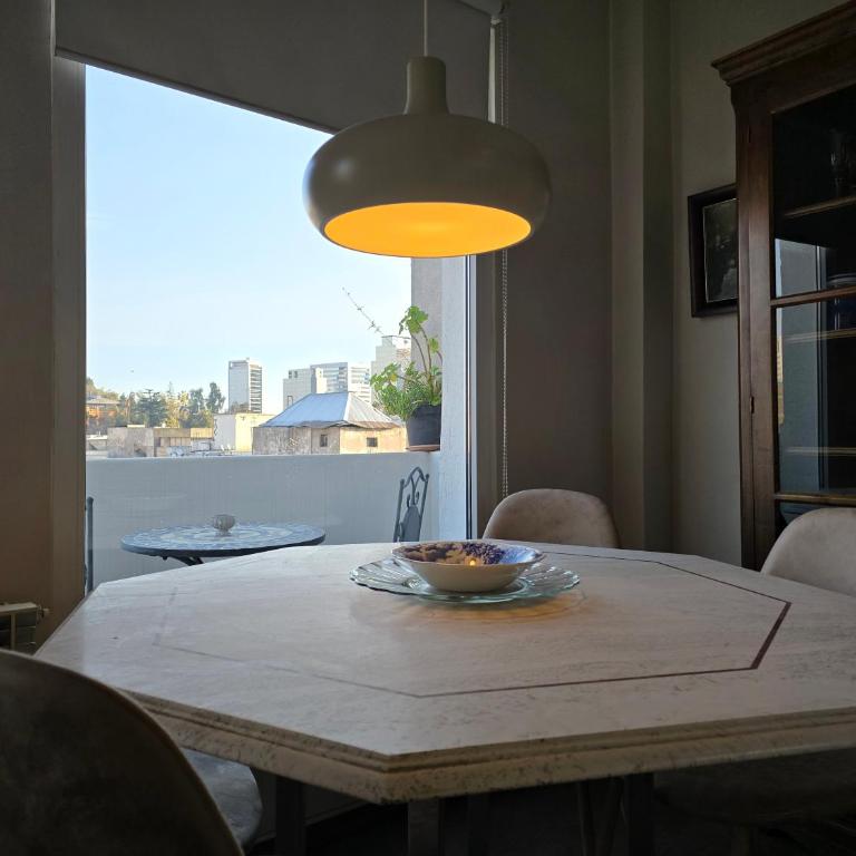 Santiago Centro Bellas Artes Lastarria - One-Bedroom Apartment with Terrace - 10