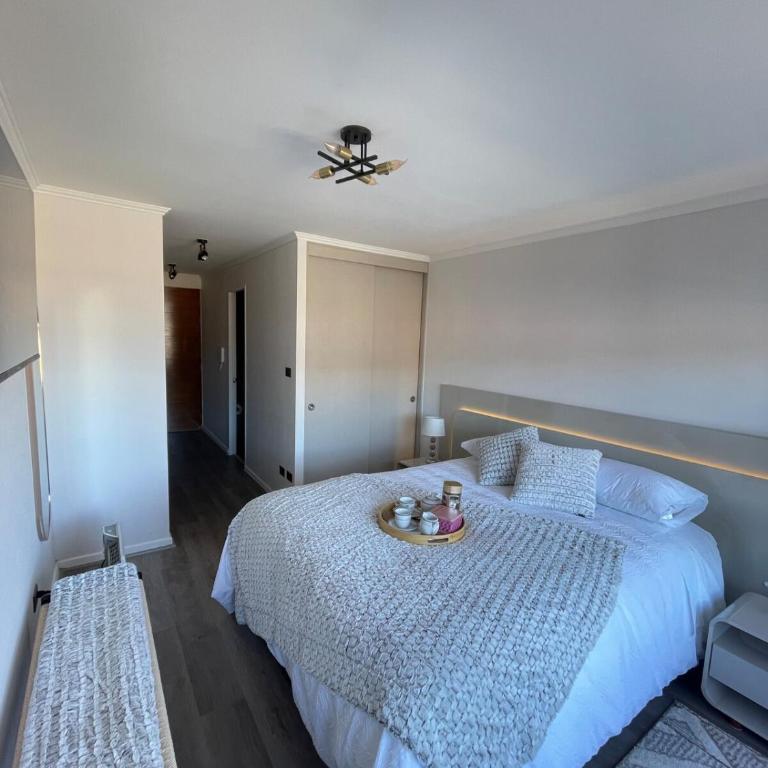 Apartamento en Concepcion con estacionamiento privado - One-Bedroom Apartment - 14
