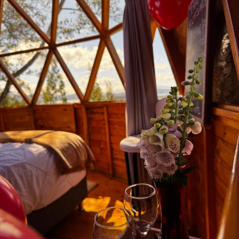 Glamping Domos del Lago - Estudio Deluxe con cama grande - 1