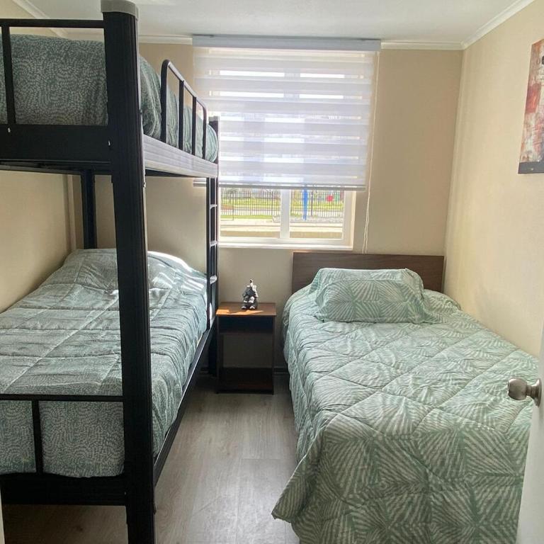 Alojamiento en Villarrica - Apartamento de 2 dormitorios - 11