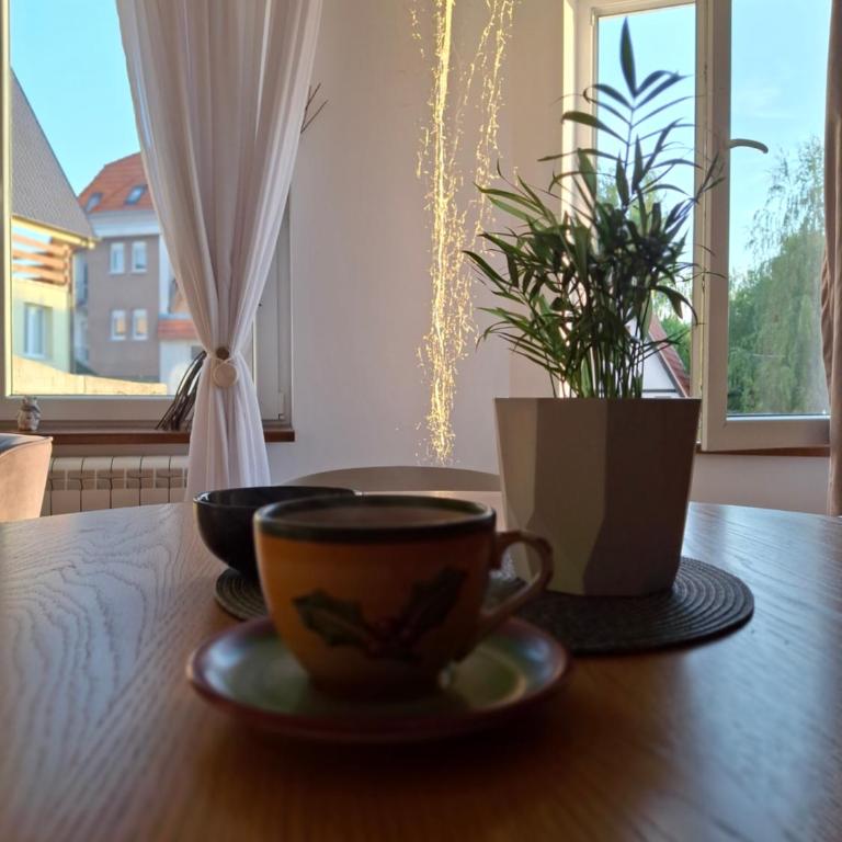 Pogled iznad oblaka - One-Bedroom Apartment - 28