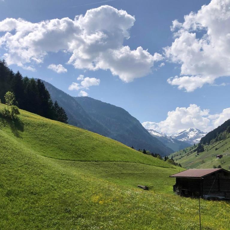 Ferienhaus Berghof Geisler - Ferienhaus - 4