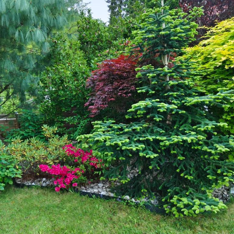 Haus Flora - Ferienwohnung Bodensdorf - Apartment mit 1 Schlafzimmer - 35