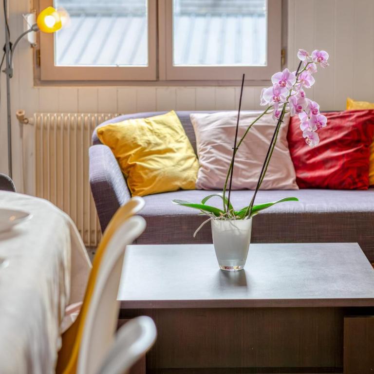 Agapanthes jolie maison de ville à Rouen avec extérieur terrasse - Vacation Home - 5