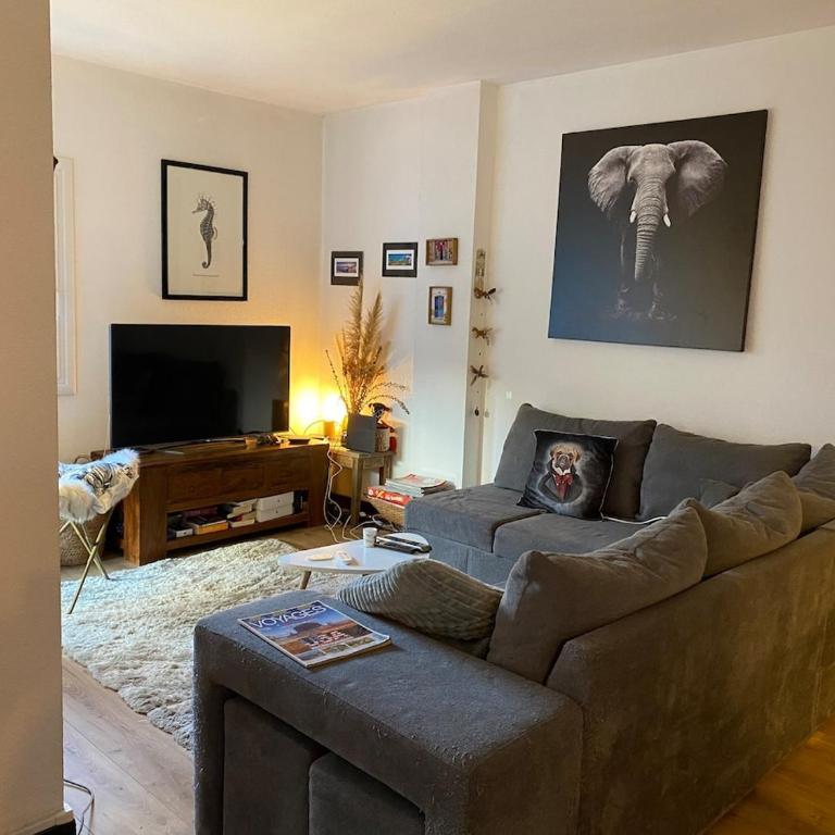 T3 avec grande terrasse et parking - Appartement 2 Chambres - 9