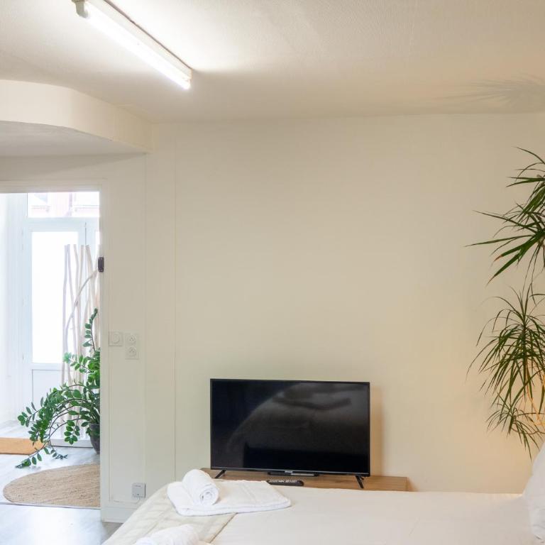 Appartement à Orléans - Proche Gare d'Orléans et de Fleury les Aubrais - Le Green Mood - Apartamento de 1 dormitorio - 5