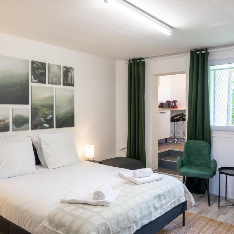 Appartement à Orléans - Proche Gare d'Orléans et de Fleury les Aubrais - Le Green Mood - Apartamento de 1 dormitorio - 1