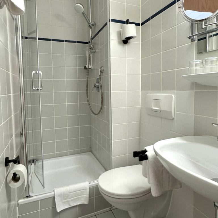 Hotel Goldener Hirsch - Doppelzimmer - 6