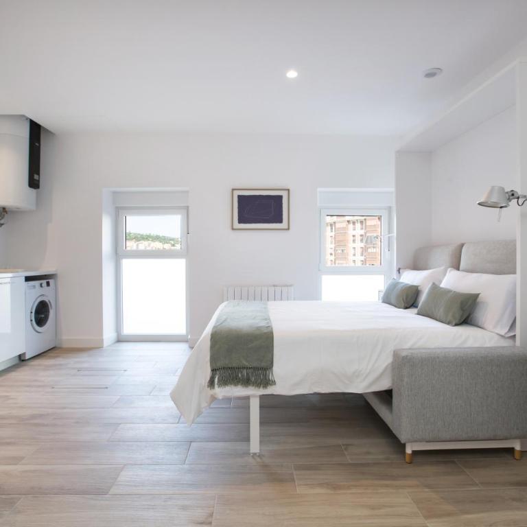 Bilbao Living Lofts - Studio - Disability Access - 1