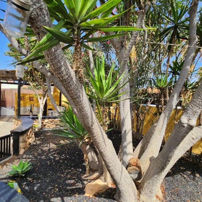 Aurora Mari Villa Your Dream Steps from the Ocean Shore - Three-Bedroom Villa - 23