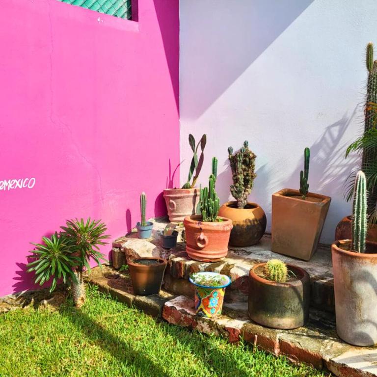 Casa Cactus - Amplia Casa de 2-Habitaciones con Jardín y Alberca - Casa de 2 dormitorios - 31