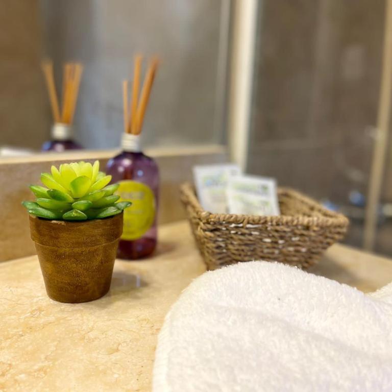 Curahue Apart Hotel - Habitación Doble - 1 o 2 camas - 7