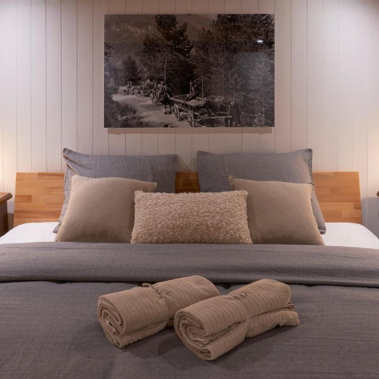 Chalet à thème, 2 chambres, vue sur les montagnes - Chalet mit 2 Schlafzimmern - 22