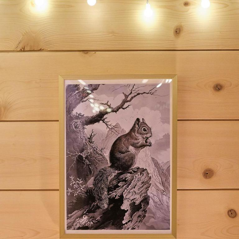 Chalet à thème, 2 chambres, vue sur les montagnes - Chalet mit 2 Schlafzimmern - 86