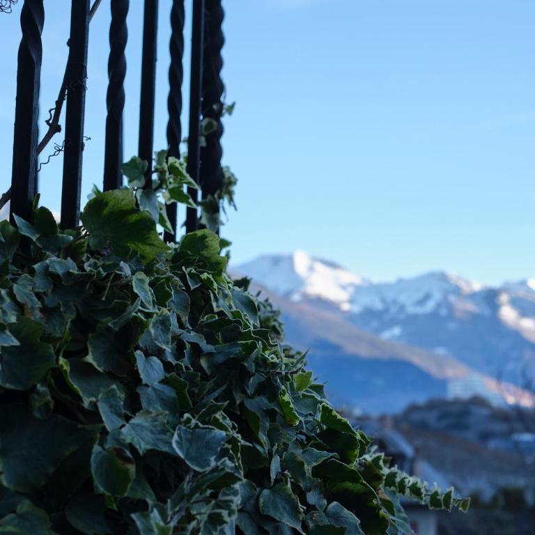 Chalet à thème, 2 chambres, vue sur les montagnes - Chalet mit 2 Schlafzimmern - 18