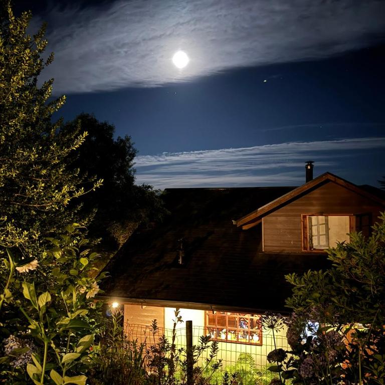 Casa Orilla Lago Villarrica - Casa de 6 dormitorios - 4