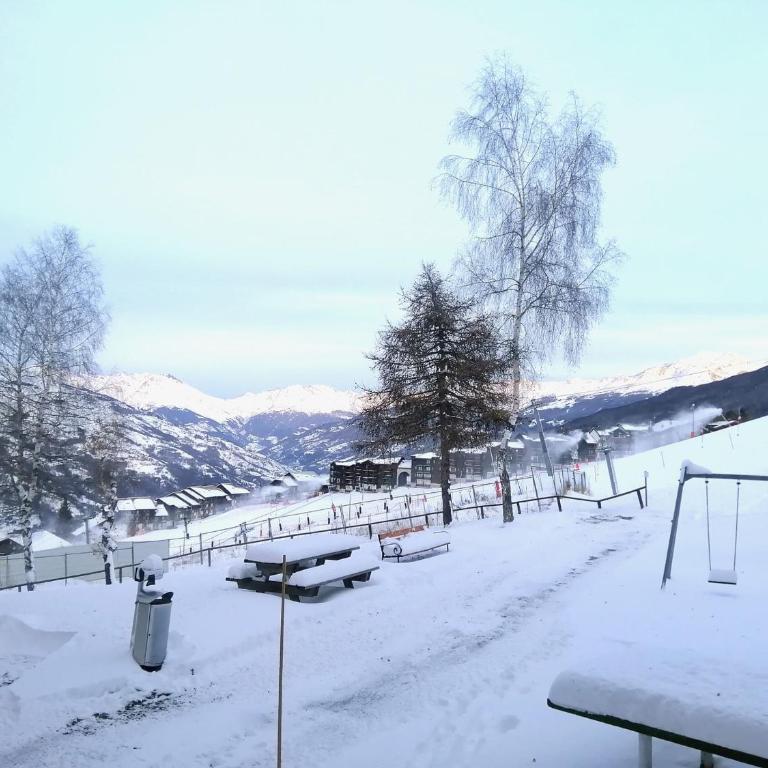 Studio 3 pers, Ski aux pieds, Balcon vue vallée - FR-1-181-2475 - Studio - 12