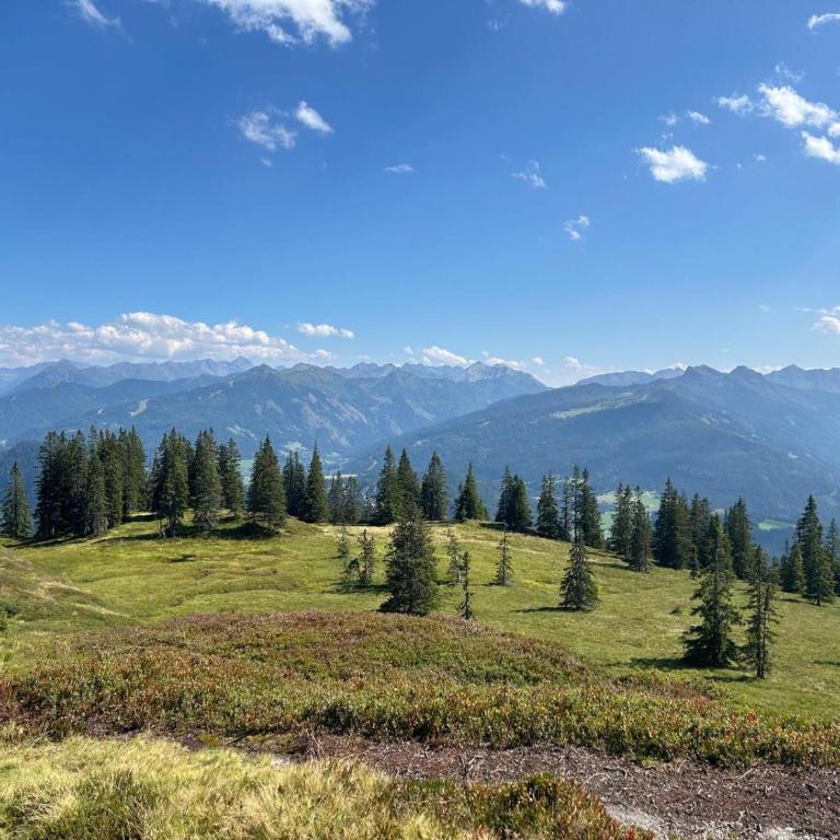 Ferienhaus Alpennest - Haus mit 3 Schlafzimmern - 22