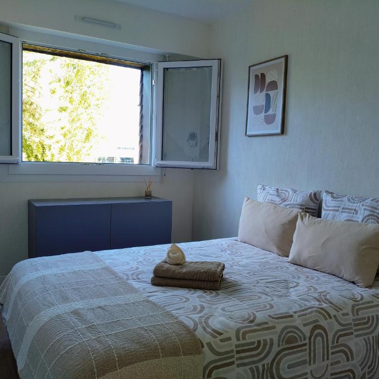 Calme et Cosy, T2 refait à neuf en Juillet 2025 - One-Bedroom Apartment - 12