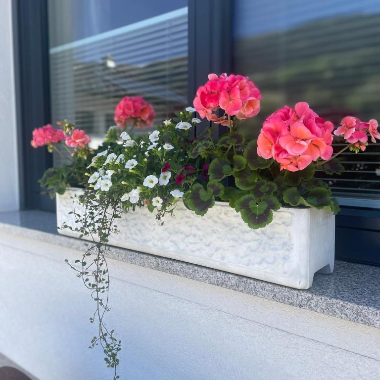 Apart Rauch - Zillertal - Apartment mit 2 Schlafzimmern und Terrasse - 31