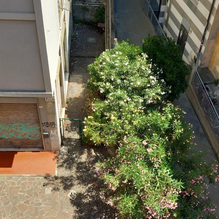 Bernardino Studio Apartment - La Spezia, Cinque Terre - Two-Bedroom Apartment - 11
