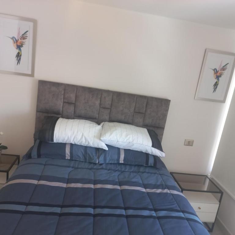 sandiego376blas - Two-Bedroom Apartment - 11