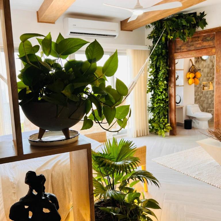 Casa Manalva ocean view penthouse in walled city - Apartamento de 1 dormitorio - 10