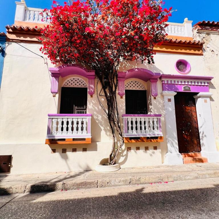 Casa Manalva ocean view penthouse in walled city - Apartamento de 1 dormitorio - 41