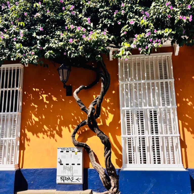 Casa Manalva ocean view penthouse in walled city - Apartamento de 1 dormitorio - 32