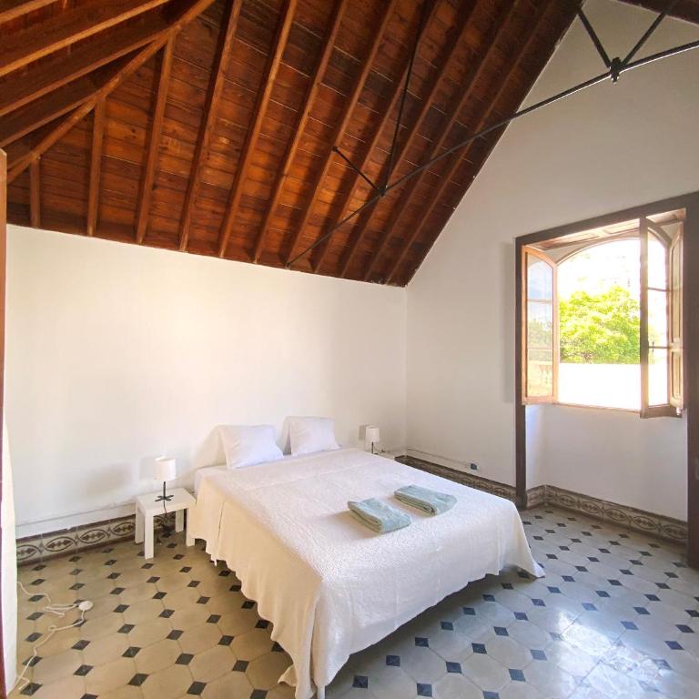 Comfortable Room in Historic Casa Quesada Shared House - Habitación Doble - 1