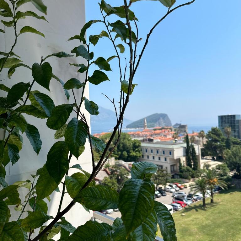 Leona Residences Apartment - Apartman sa Pogledom na More - 3