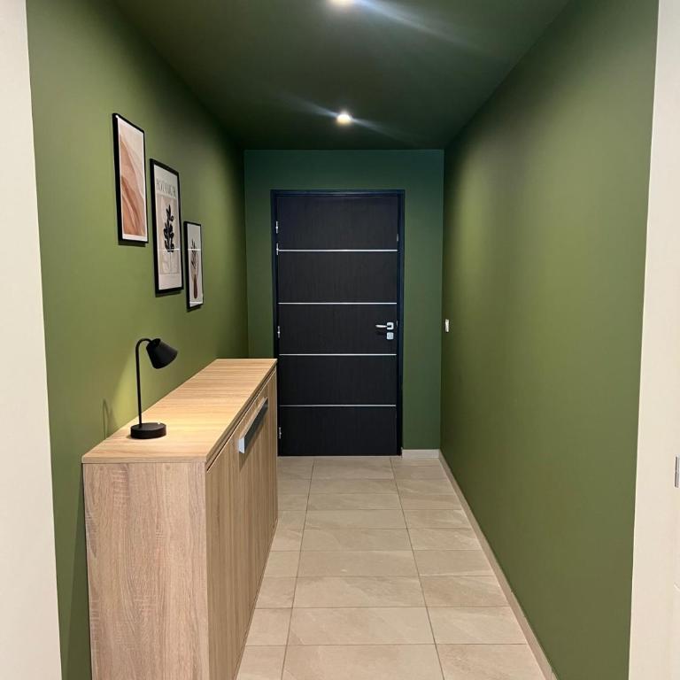 Spacieux T1 neuf - Résidence Meri-Bellecombe - Appartement 1 Chambre avec Balcon - 15