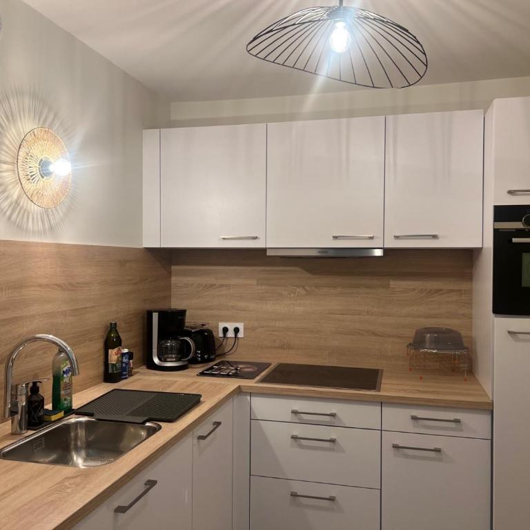 Spacieux T1 neuf - Résidence Meri-Bellecombe - Appartement 1 Chambre avec Balcon - 6