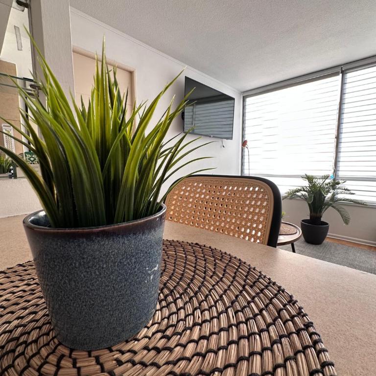 Departamento equipado en Santiago - Apartamento de 1 dormitorio - 16