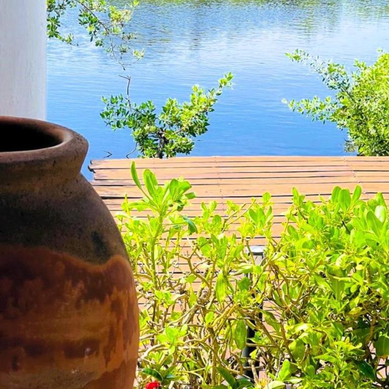 Ikal Island Garden - Apartment with Garden View - 26