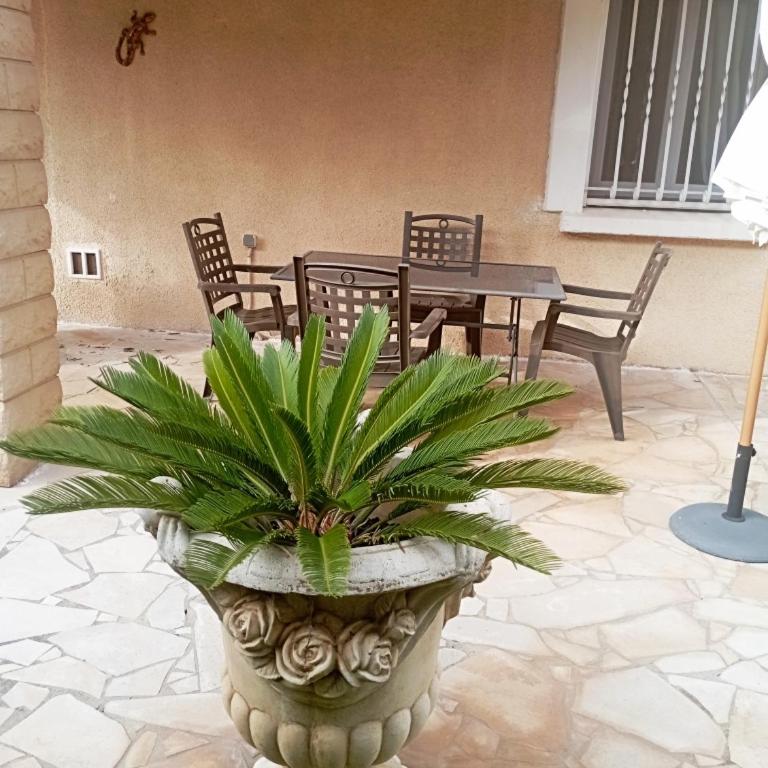Rdc Villa Jardin et terrasse - Appartement 1 Chambre - 14
