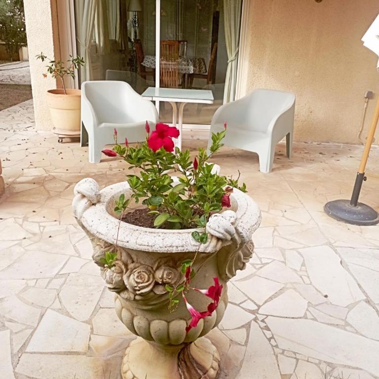 Rdc Villa Jardin et terrasse - Appartement 1 Chambre - 15