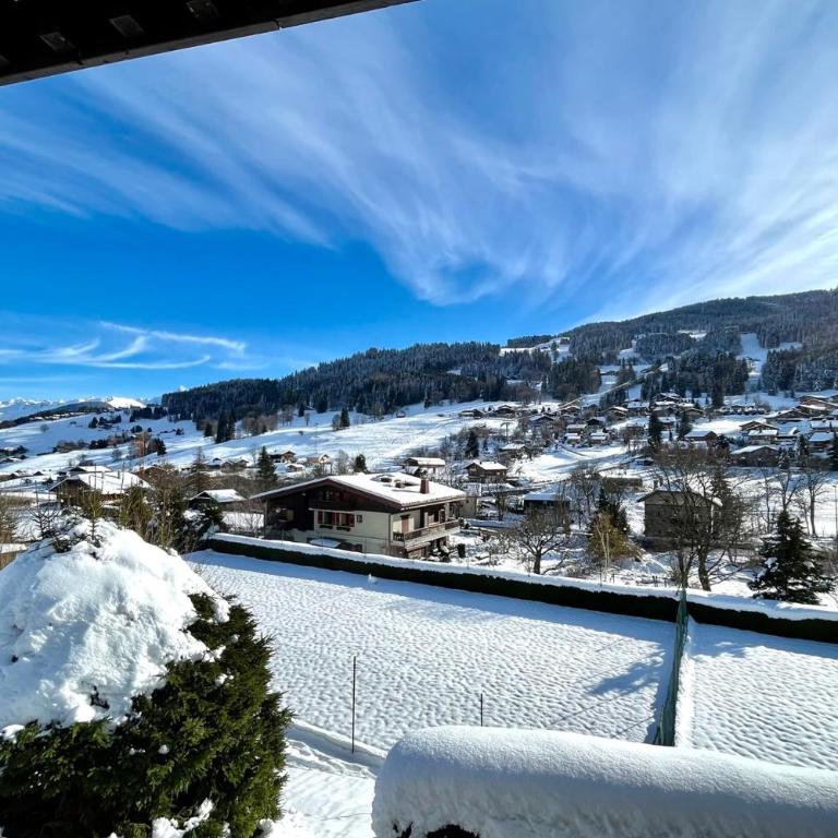 Le Balcon des Princesses - Apartment - 15