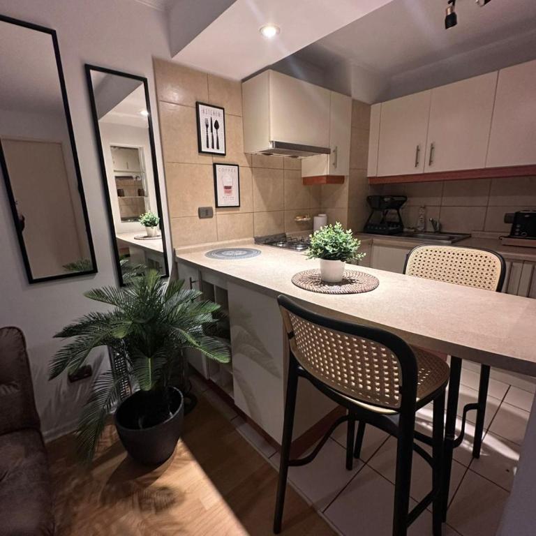 Departamento equipado en Santiago - One-Bedroom Apartment - 44