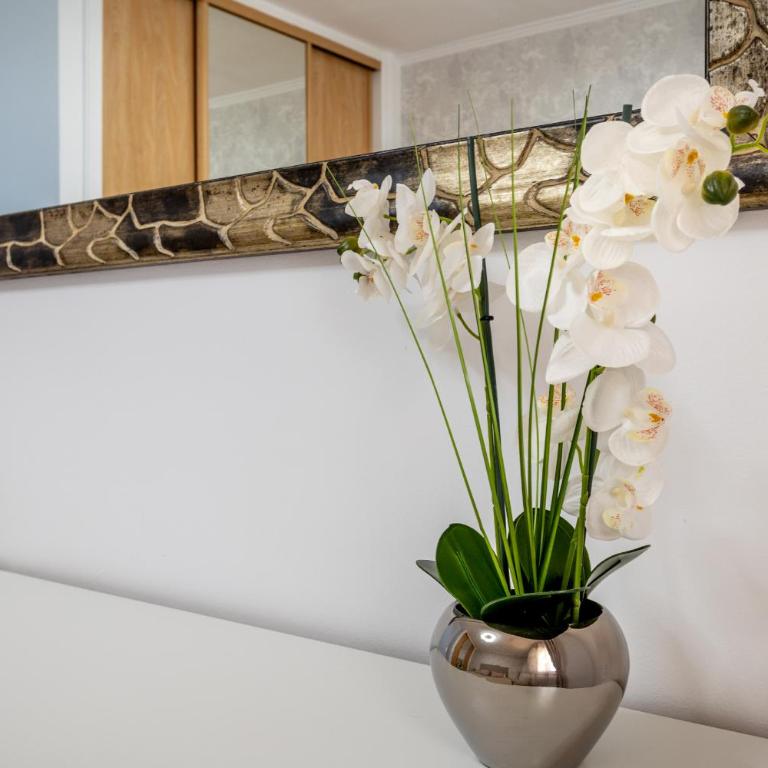 Oasis San Eugenio by Altamar Homes - Apartamento de 1 dormitorio - 13