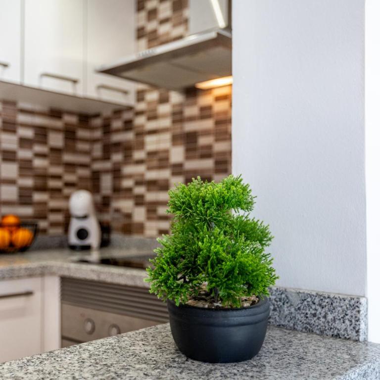 Oasis San Eugenio by Altamar Homes - Apartamento de 1 dormitorio - 22