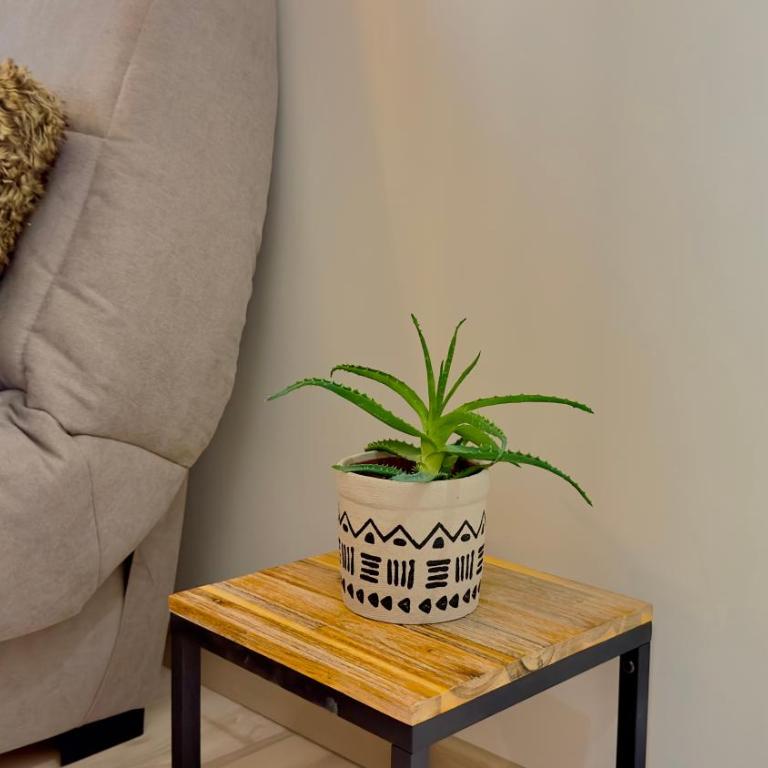 Le Cosy - Place du 30 octobre - 4 personnes - Apartamento de 1 dormitorio - 5