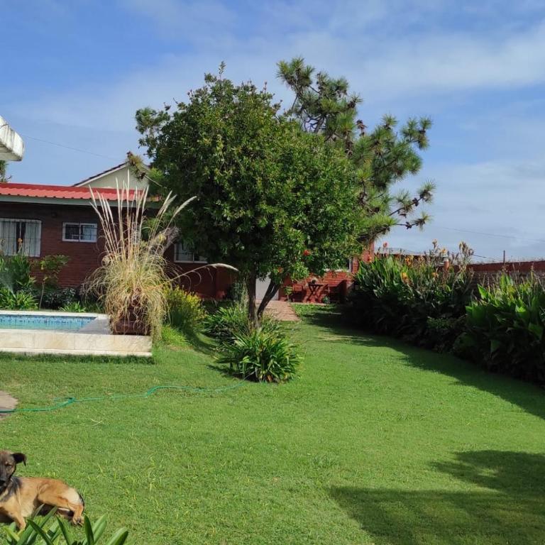 Alquiler Temporario PARAÍSO CHAPADMALAL - Apartamento de 1 dormitorio - 15