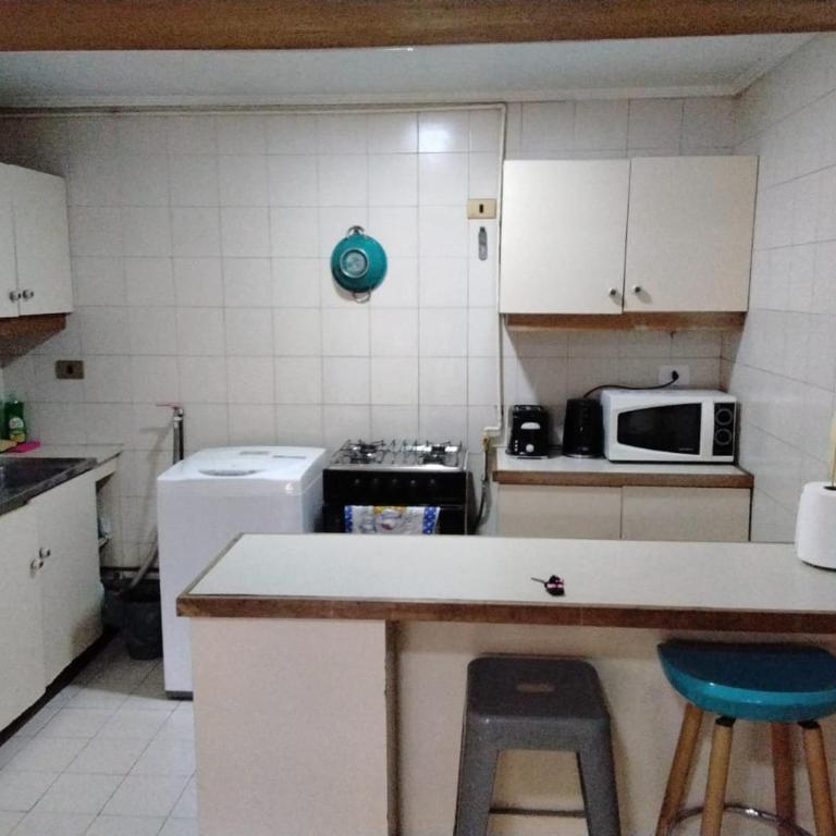 Acogedor departamento en providencia - Apartamento de 1 dormitorio - 3