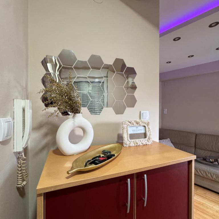 Centar Lux Apartman - Apartman s 1 Spavaćom Sobom i Terasom - 3