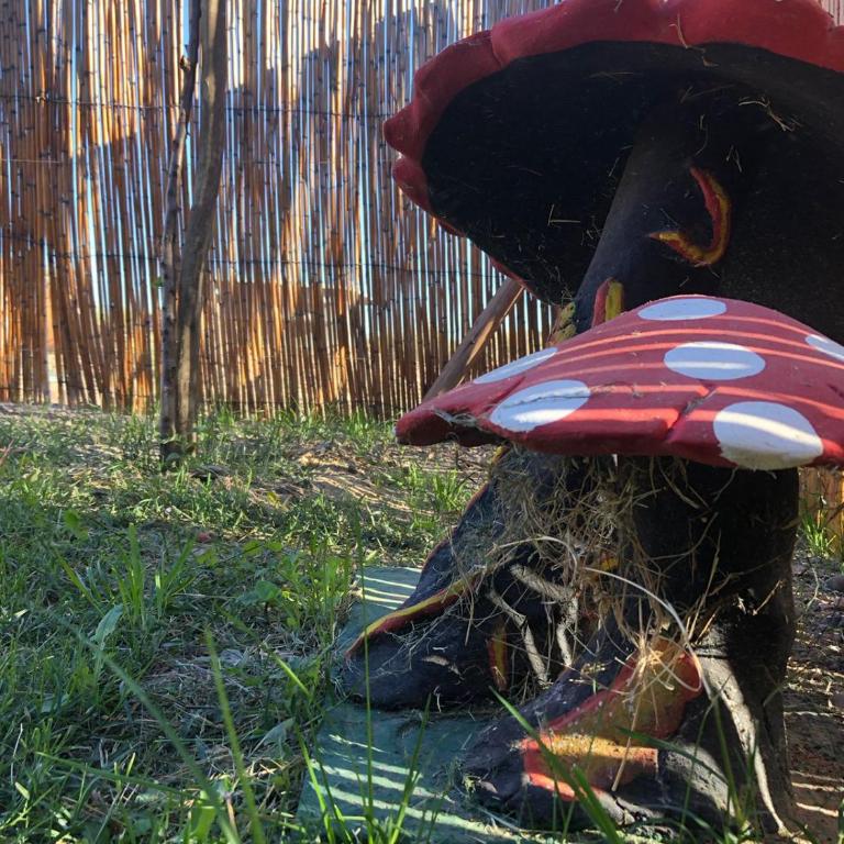 El Encuentro Cabañas - Casa de 2 dormitorios - 9